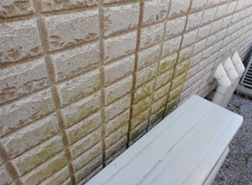 外壁ALC（軽量気泡コンクリート）に苔・藻汚れの付着があります。